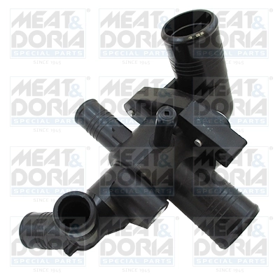 Thermostat, coolant